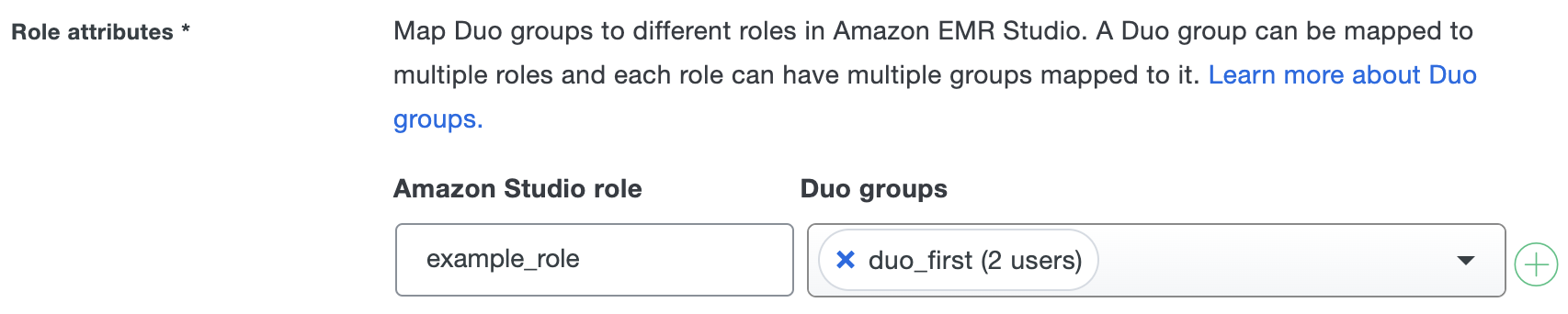 Duo Amazon EMR Studio Role Attributes