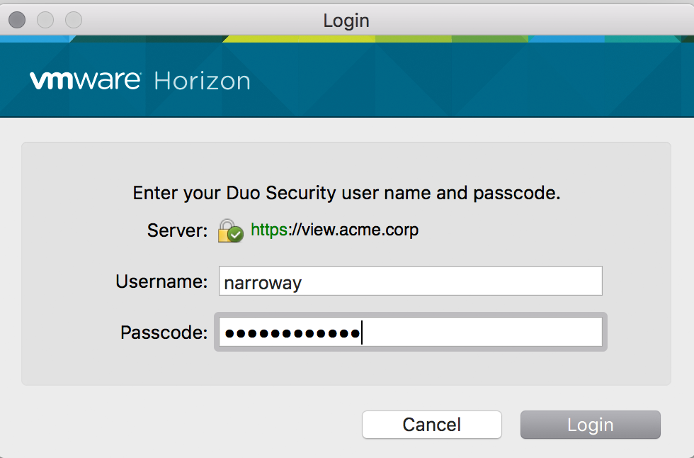 Horizon View Client Primary Authentication